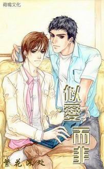 似愛而非（出書版）