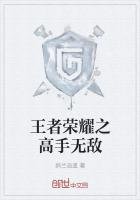 王者榮耀之高手無敵